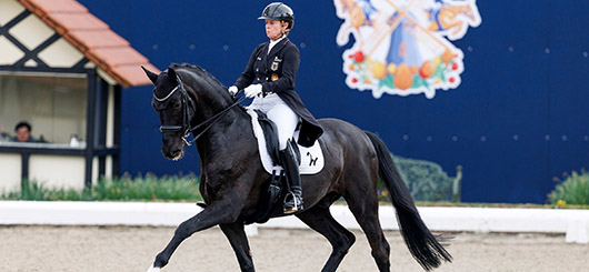 Springreiter Tjade Carstensen 